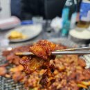 선지랑돼지