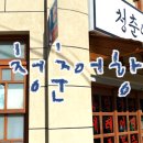 청춘어항