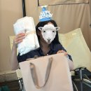 핀란드캠핑성 | [남양주 가평] 여름 당일치기 글램핑/가족 글램핑/ 핀란드캠핑성 다녀온 후기