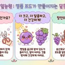 육일농원