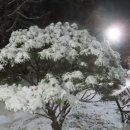 참새의정원