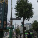 대호장의사 | 북한산.. 족두리봉 지나 향로봉. 비봉을 다녀오다.