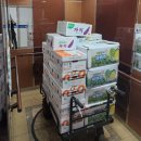 각화도매시장 원협채소 | [11월 8일] 광주광역시 각화동 농산물시장 오늘 야채 시세는 과연? 야채 납품가격은 ?
