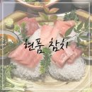 현품참치 이미지