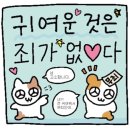 책방이또지라 이미지