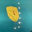 5디테일 파주점 이미지