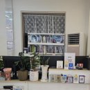 달빛서점 이미지