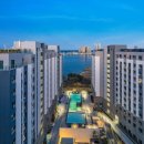 도미니클라바 이미지