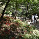 모악산도립공원 이미지