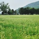 놀부마을 이미지