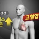3루지정석