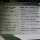 상주 남장사 철조비로자나불좌상 이미지