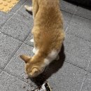 봉곡동219 | gangwon trip