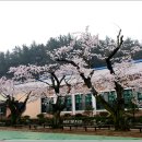 이원초등학교 이미지