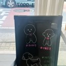 츄펫살롱 | 대전애견미용 용문동 애견위생목욕 &#39;츄펫살롱&#39;