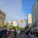 대구 달성 공원 새벽시장먹거리 (#900번 식당#) &amp;동물원