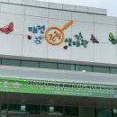 경북재생자원 | [대전 서구] 대전곤충생태관 / 2025년도 마지막날 마지막타임 반딧불이 불빛체험 후기