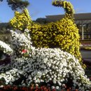 하신회관 이미지