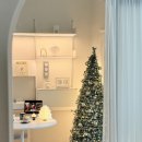 맥스 | 아이폰 17 프로 맥스 카메라 스펙 실사용 후기