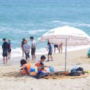 사천해변 이미지