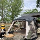 피플앤독 이미지