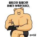 레드핏휘트니스 프리미엄 이미지