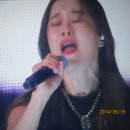 미주코리아 이미지