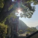 구례공영버스터미널 관광안내소 이미지