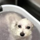 관저남로 이미지