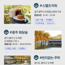 그린카인테리어 이미지