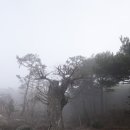 안국사지 이미지