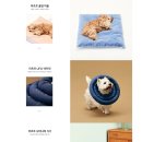 출판 편집 프로그램 배우기(인디자인) 이미지