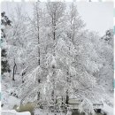 황토사랑민박 이미지