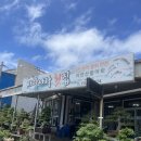 제주도 물회 맛집 ‘바다나라횟집’ 후기