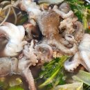 날으는산오징어 이미지