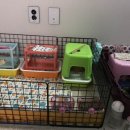 한산켄넬 이미지