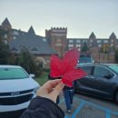 동부-8 | 미 동부 캐나다 10일 하나투어 여행후기 - 8일차