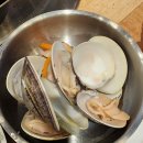 배부른 | 인천모다아울렛맛집 제이수산 백합칼국수, 5만원에 4인 배부른 가성비 후기