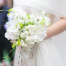 CU 마곡보타닉푸르지오1 | 마곡 보타닉파크웨딩 카라홀 본식 스냅 dvd 주차 식대 후기