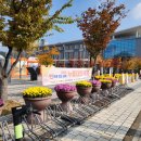 이봉춘셰프실용전문학교 | 대전 데이트 가볼만한곳 2025 누들축제 방문 후기