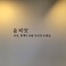 윤띠앗 이미지