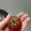 맛없고아주싼찜닭 | 액땜으로 맞이한 4월