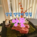 양꽃