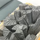 청명역 | 강남사주 청명역학당 다녀온 솔직 후기