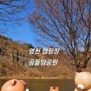 포은로 132 네이버블로그