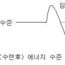 발열반응의 임계 에너지수준과 국선도 이미지