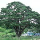 동산자연어린이집 이미지