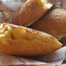 로티보이 이미지