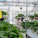 인구농장 이미지