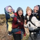 부동산경매공법(주간) 이미지